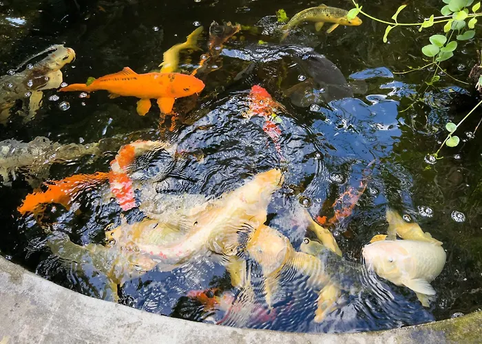 Mimosa Diano Marina: Exclusive Use Villa, Garden, Barbecue, 3 Bedrooms And 3 Bathrooms * Ντιάνο Μαρίνα